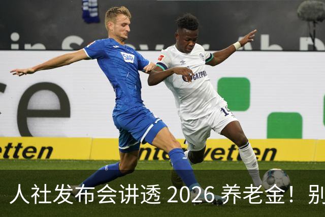 人社发布会讲透 2026 养老金！别被网上传言带偏了